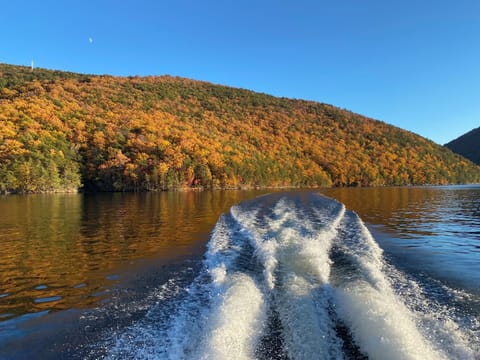 Fall colors are AMAZING