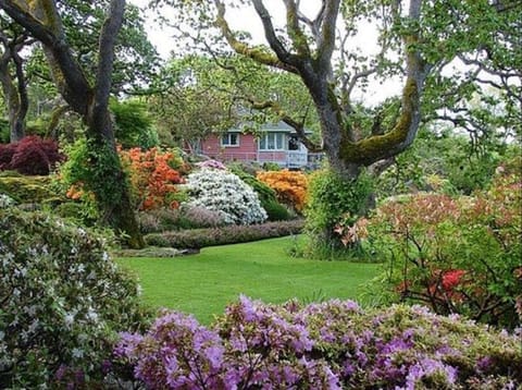 Visit this charming garden and Teahouse right in town.