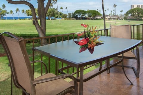 OCEAN VIEW FROM LANAI