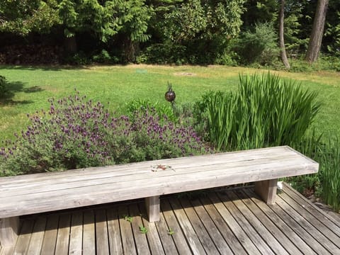 Beautiful lavender surrounds the deck