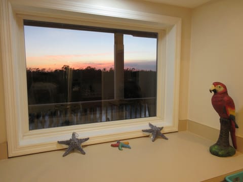 VIEW FROM KITCHEN WINDOW