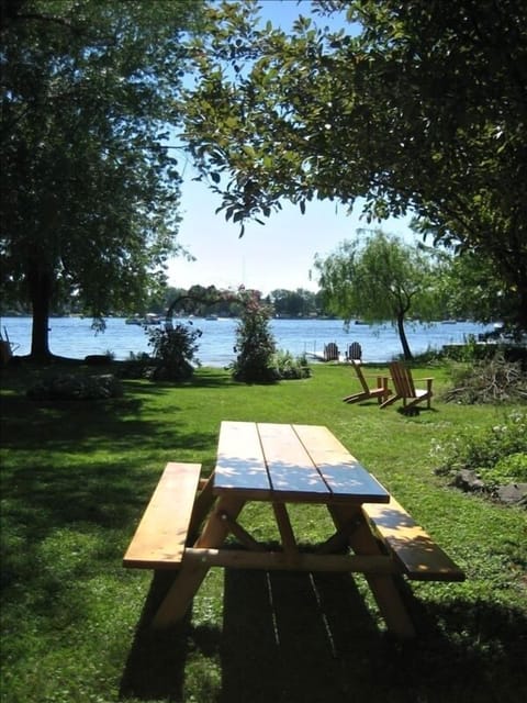 Picnic table in the backyard