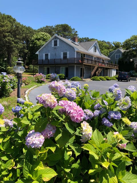 Beautiful summer day at Kismet House