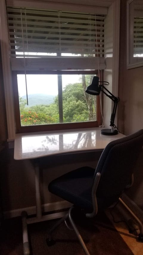 view from the remote workspace desk. has power strip and lamp