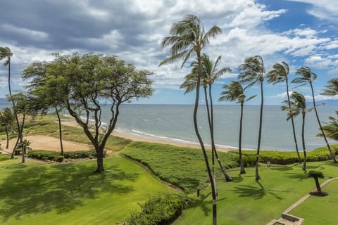 View from lanai
