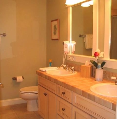 Master bathroom double-sink vanity