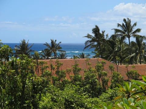 Ocean View of Brennecke's Beach