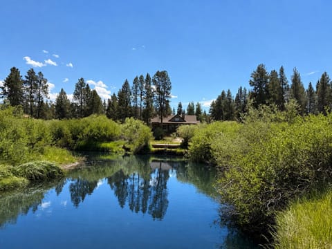View from River looking back at the house.