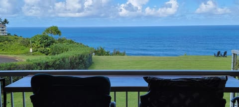 view from the lanai
