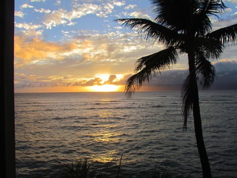 Private sunset view.