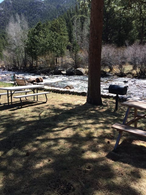 Enjoy a picnic under the shade  next to the Big Thompson.