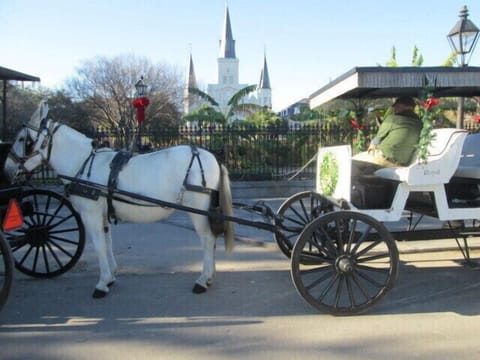 Patio Apartment
4 Mi to French Quarter