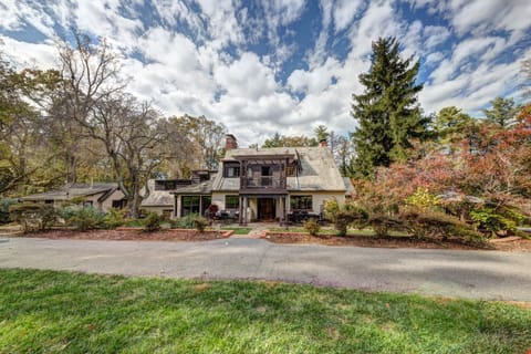 View from the back yard