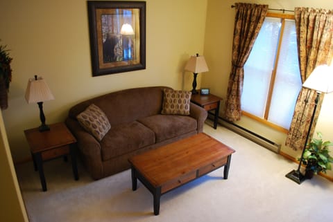 Family room double size sleeper sofa bed.