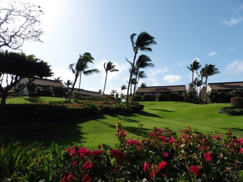 Maui Kamaole - Lush Grounds