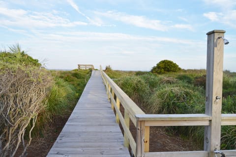Boardwalk