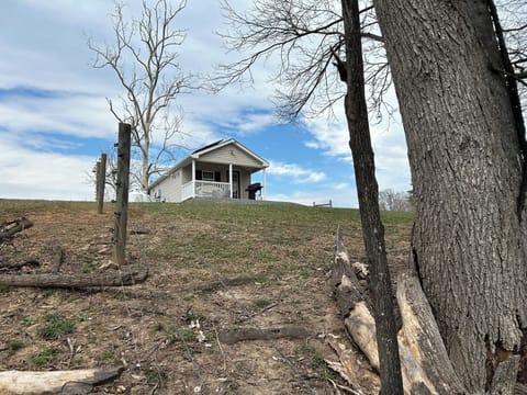 Trail leading to Cottage
