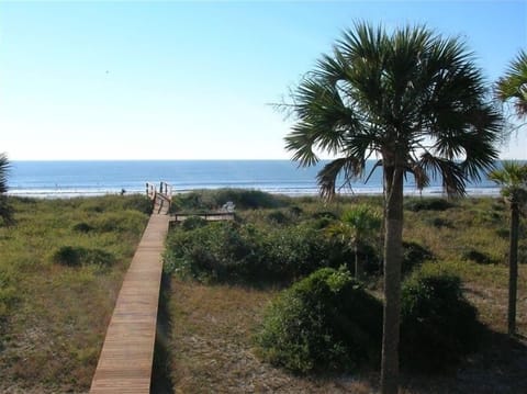 A lofty view of our private boardwalk and deck. Gorgeous location!!