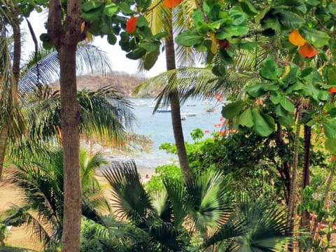 View from our lanai - look how close we are to  the beach!