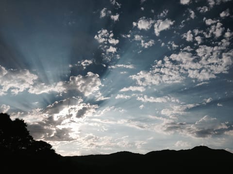 Mt. Tam view from the house