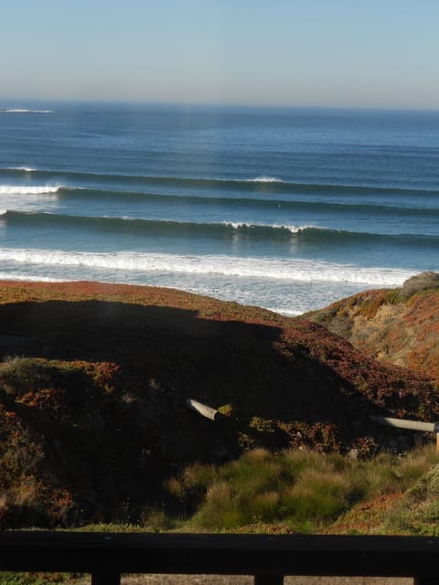 Beach and surf view from house.