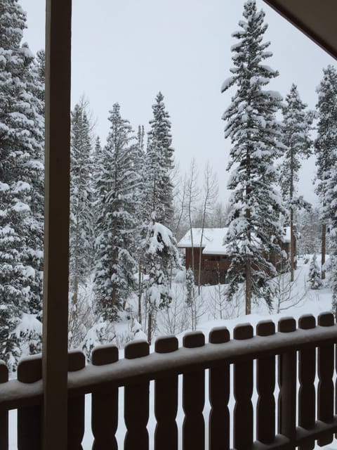 Winter view from the second story front deck