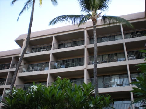 View up at building/unit