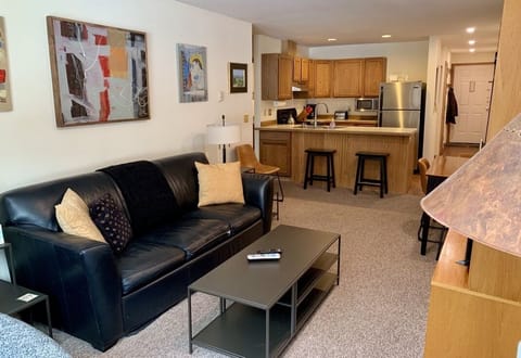 sleeper sofa, bars stools at kitchen, and view into kitchen, entrance hallway