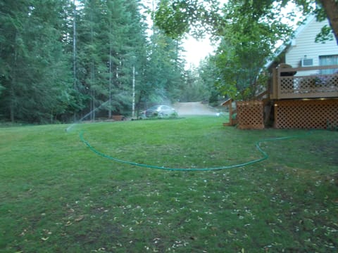 Looking up the hill from Savage Lake