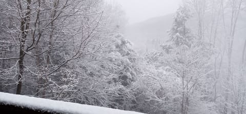 Balcony view - winter