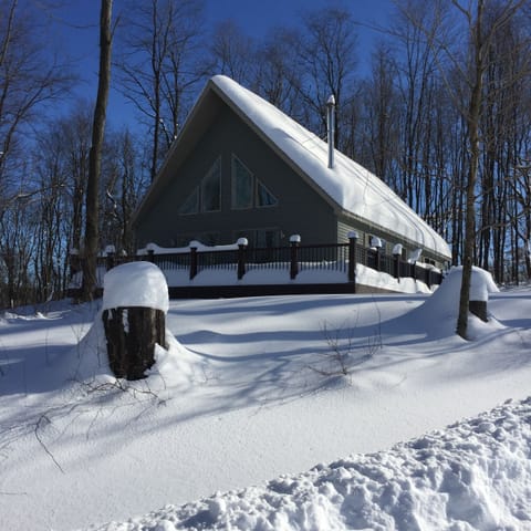 Winter Vista
