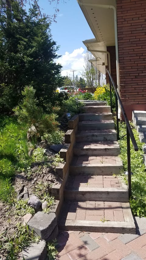 Shallow Steps from front of house  to entry stairs