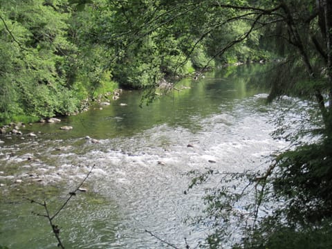 River from the property