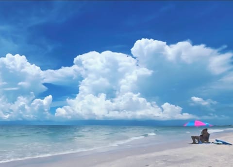 Beautiful day on the

 beach ! There's even a dolphin in the clouds! 
