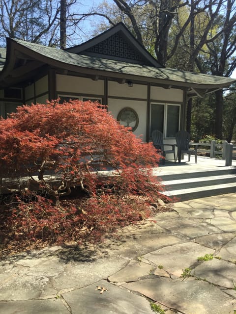 Amazing specimen of a Japanese Maple just leafing out!
Must see!