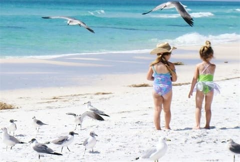 Only 1 mile to Seaside!!
RIGHT ON THE WATER!
Heated pool.Chairs & umbrella setup