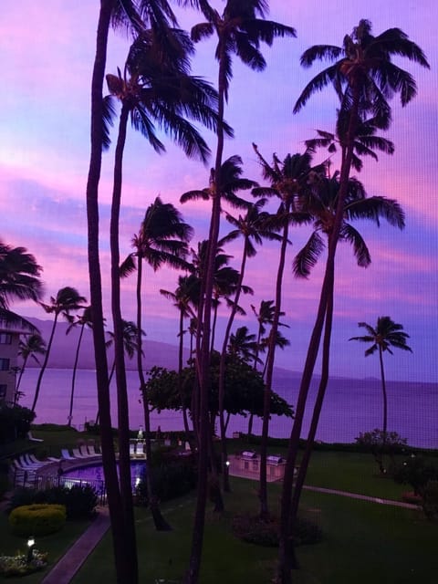 View from your lani!