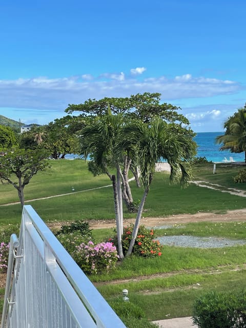 The beach is just down the stairs and a short walk.