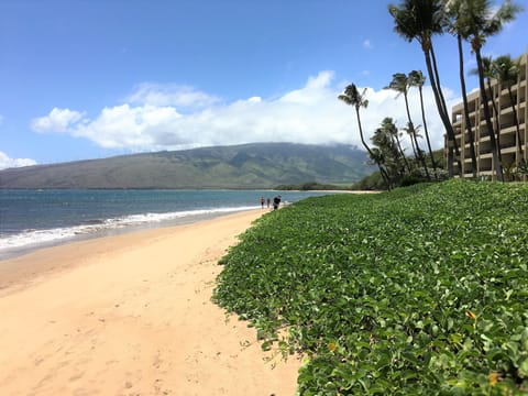 Sugar Beach North View - 5 miles of white sandy beach