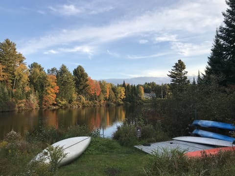 Take a kayak, sup or canoe out onto Mill Pond