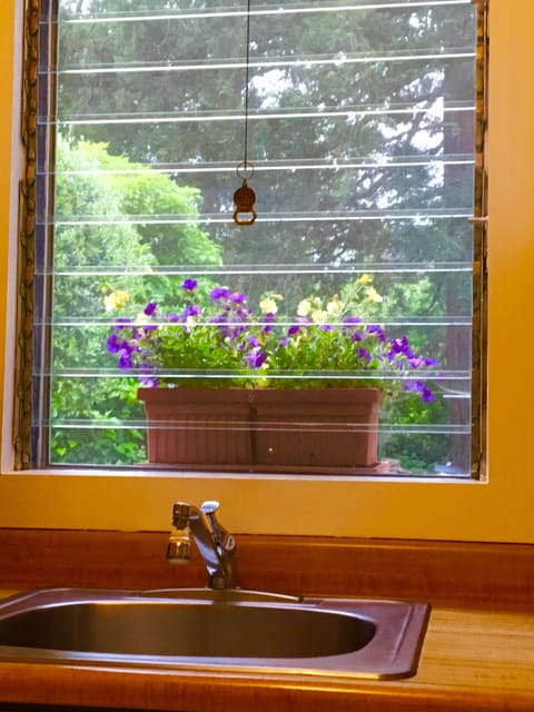 Kitchen Window