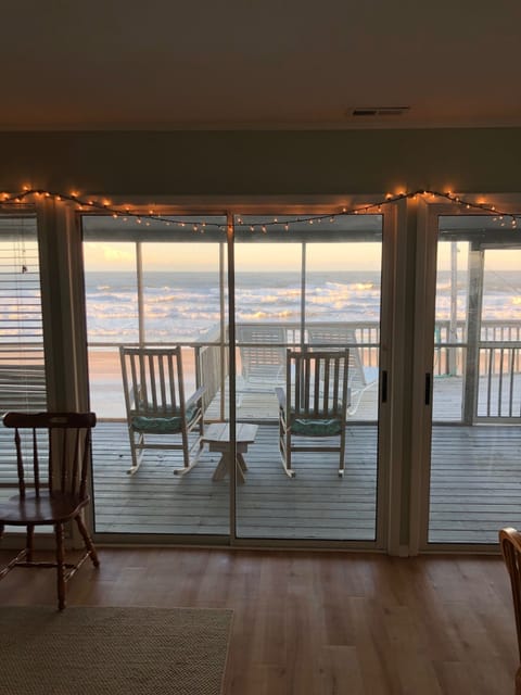 Dolphin Watch with Holiday lights