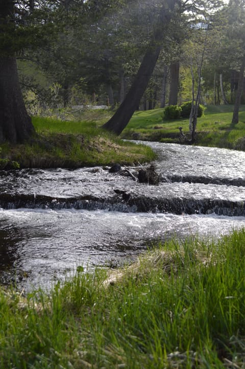 This beautiful creek is out our back door!