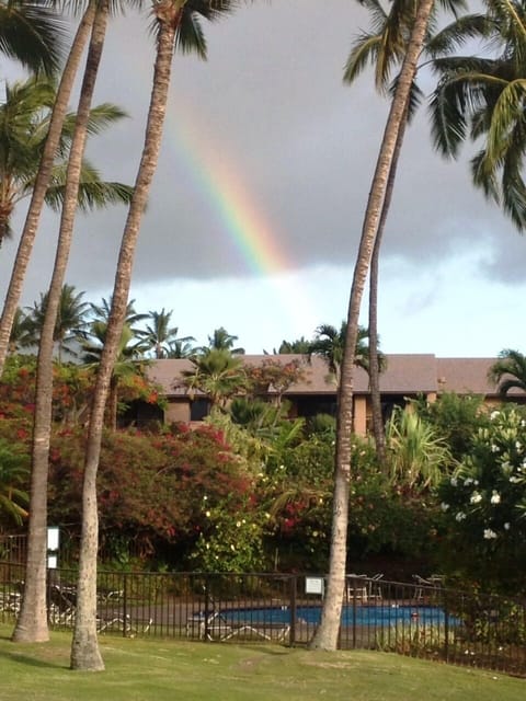 Quiet pool and rainbow over Building 1