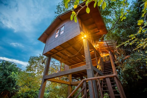 BIRD'S NEST (TREE HOUSE) | Minibar, in-room safe, desk, blackout drapes