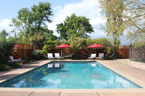 Sparkling, solar heated salt water pool for relaxing afternoons