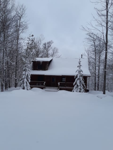 Relax with the gas fireplace, hot tub, and the changing views of Lake Huron