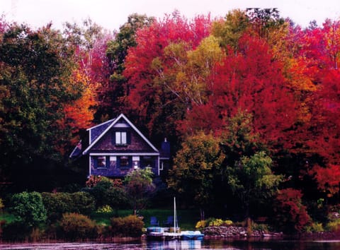 Amazing Fall Colors
