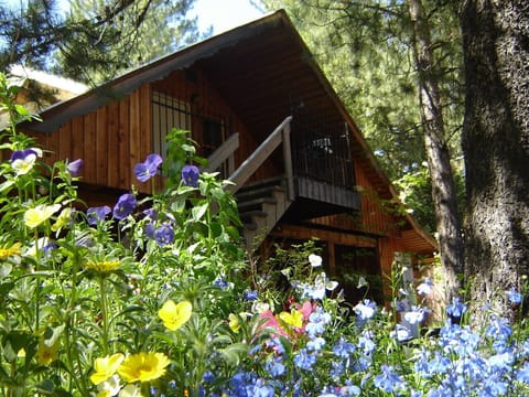 Martins Vacation Rental