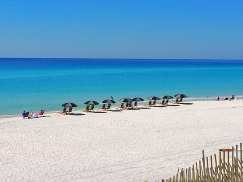 Welcome to Dutch Treat 30A!